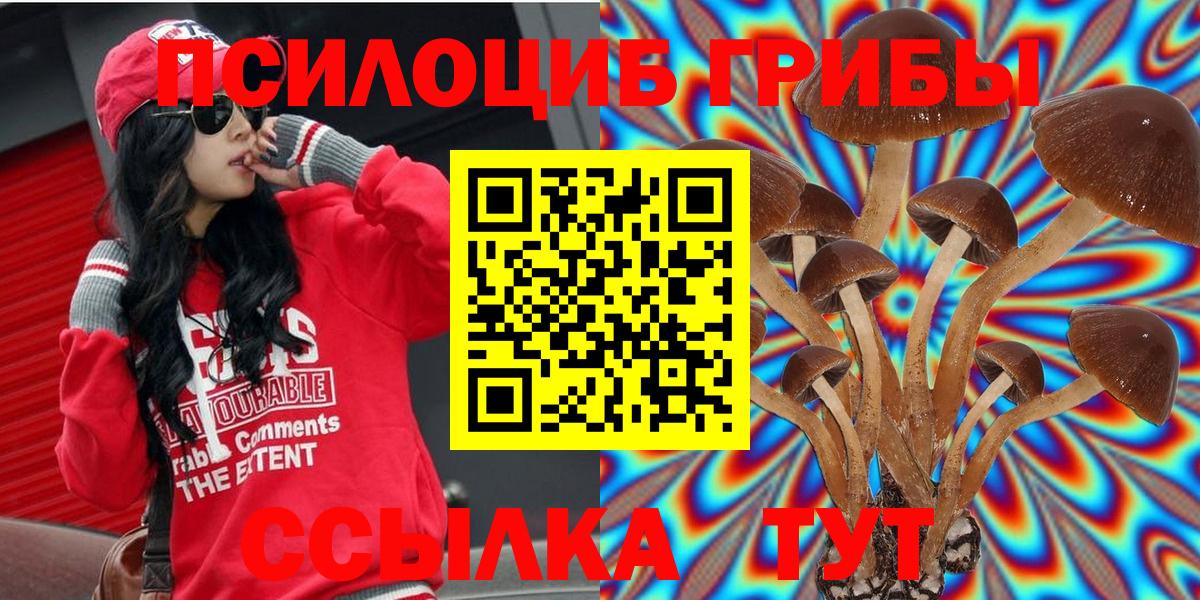 купить   Вход с VPN  Когалым  Псилоцибиновые грибы Magic Shrooms 